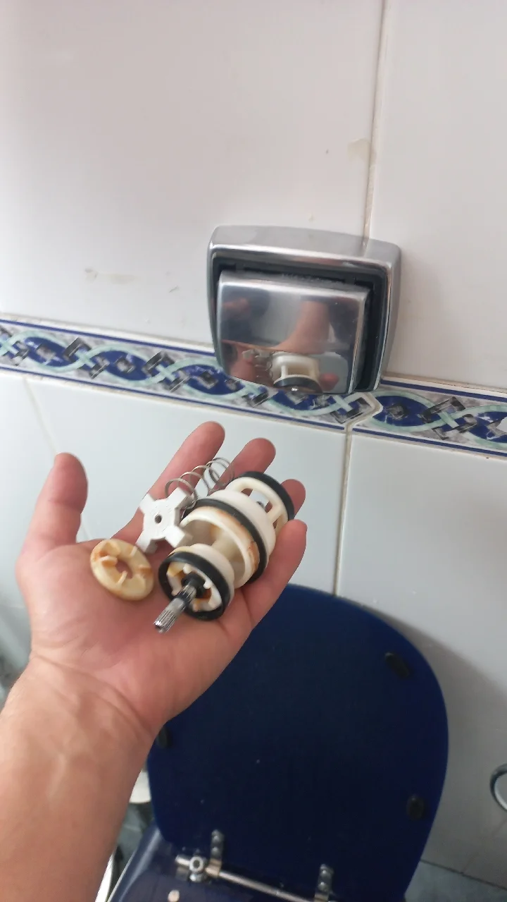 Reparo interno de válvula Hydra retirado para substituição
