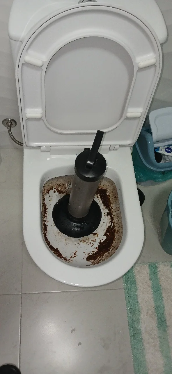 Desentupimento de vaso sanitário com mola mecanizada
